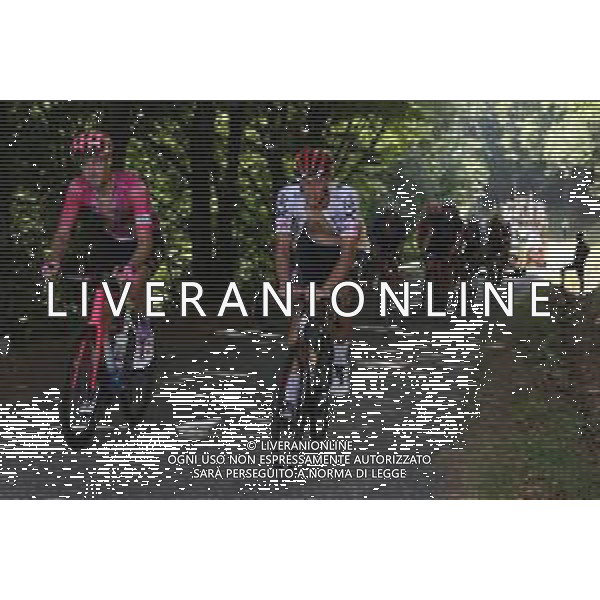 19-07-2022 Tour De France; Tappa 16 Carcassonne - Foix; 2022, Bora - Hansgrohe; Politt, Nils; Mur De Peguere; ©SIROTTI/AGENZIA ALDO LIVERANI SAS