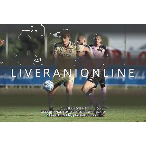 Lorenzo Lucca (Pisa) Pisa vs Palermo Rovetta (BG) 21-07-2022 centro sportivo comunale Marinoni amichevole precampionato foto Roberto Garavaglia/ag. Aldo Liverani sas /AGENZIA ALDO LIVERANI SAS
