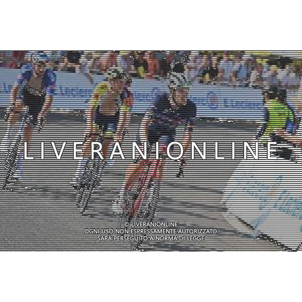 21-07-2022 Tour De France; Tappa 18 Lourdes - Hautacam; 2022, Trek - Segafredo; Stuyven, Jasper; Hautacam; ©SIROTTI/AGENZIA ALDO LIVERANI SAS