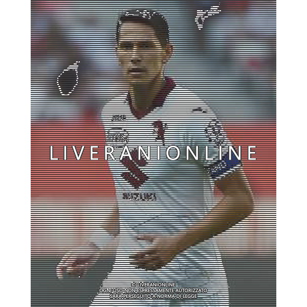 Sasa Lukic (Torino) OGC Nizza vs Torino Nizza (FRA) 30-07-2022 Stadio Allianz Riviera amichevole precampionato foto Roberto Garavaglia/ag. Aldo Liverani sas