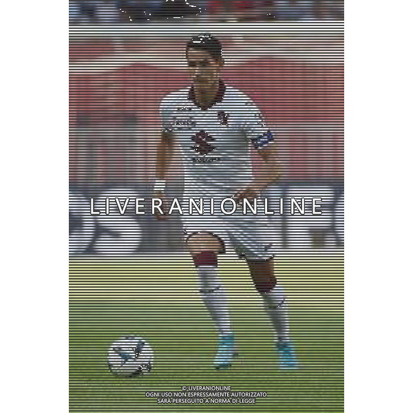 Sasa Lukic (Torino) OGC Nizza vs Torino Nizza (FRA) 30-07-2022 Stadio Allianz Riviera amichevole precampionato foto Roberto Garavaglia/ag. Aldo Liverani sas