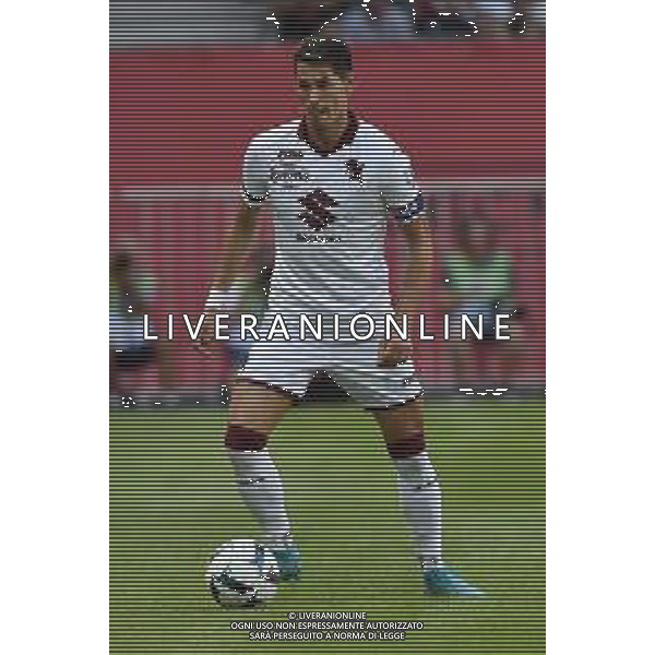 Sasa Lukic (Torino) OGC Nizza vs Torino Nizza (FRA) 30-07-2022 Stadio Allianz Riviera amichevole precampionato foto Roberto Garavaglia/ag. Aldo Liverani sas