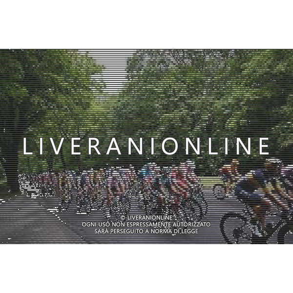 31-07-2022 Tour De Pologne; Tappa 02 Chelm - Zamosc; ©SIROTTI/AGENZIA ALDO LIVERANI SAS