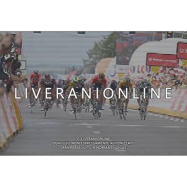 31-07-2022 Tour De Pologne; Tappa 02 Chelm - Zamosc; 2022, Intermarche - Wanty Gobert; 2022, Uae Emirates; 2022, Bahrain - Victorious; 2022, Jumbo - Visma; Thijssen, Gerben; Ackermann, Pascal; Milan, Jonathan; Kooij, Olav; Zamosc; ©SIROTTI/AGENZIA ALDO LIVERANI SAS