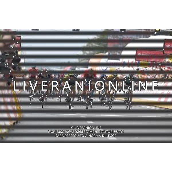31-07-2022 Tour De Pologne; Tappa 02 Chelm - Zamosc; 2022, Intermarche - Wanty Gobert; 2022, Uae Emirates; 2022, Bahrain - Victorious; 2022, Jumbo - Visma; Thijssen, Gerben; Ackermann, Pascal; Milan, Jonathan; Kooij, Olav; Zamosc; ©SIROTTI/AGENZIA ALDO LIVERANI SAS