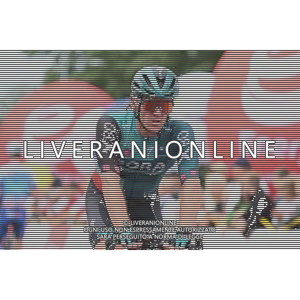 31-07-2022 Tour De Pologne; Tappa 02 Chelm - Zamosc; 2022, Bora - Hansgrohe; Archbold, Shane; Zamosc; ©SIROTTI/AGENZIA ALDO LIVERANI SAS