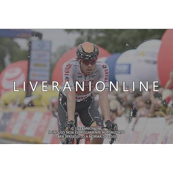 31-07-2022 Tour De Pologne; Tappa 02 Chelm - Zamosc; 2022, Lotto - Soudal; Bauhaus, Phil; Zamosc; ©SIROTTI/AGENZIA ALDO LIVERANI SAS