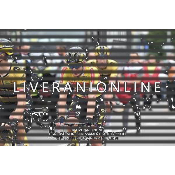 31-07-2022 Tour De Pologne; Tappa 02 Chelm - Zamosc; 2022, Jumbo - Visma; Kooij, Olav; Zamosc; ©SIROTTI/AGENZIA ALDO LIVERANI SAS