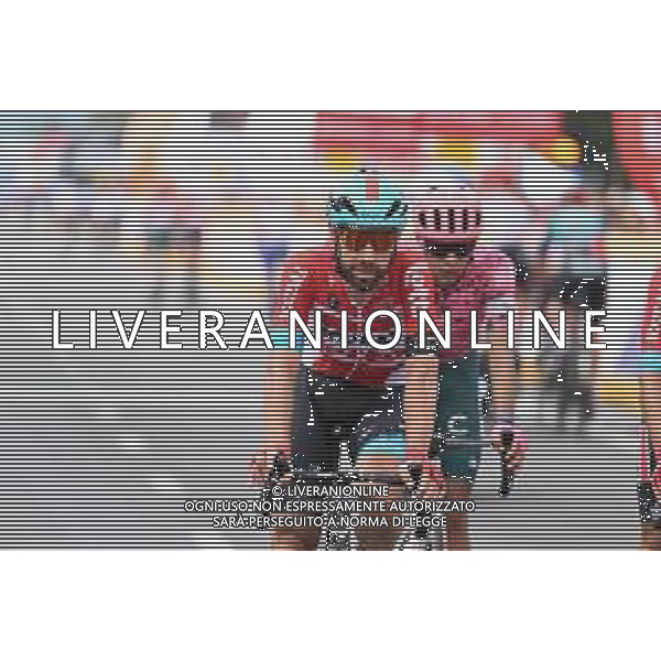 31-07-2022 Tour De Pologne; Tappa 02 Chelm - Zamosc; 2022, Lotto - Soudal; De Gendt, Thomas; Zamosc; ©SIROTTI/AGENZIA ALDO LIVERANI SAS