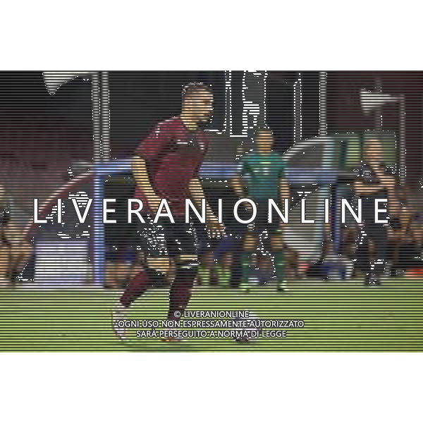 TRIANGOLARE SALERNITANA-REGGINA-ADANA DEMIRSPOR \'TROFEO IERVOLINO\' SALERNO 30.07.2022 NELLA FOTO FEDERICO BONAZZOLI ©GARREFFA/AGENZIA ALDO LIVERANI SAS