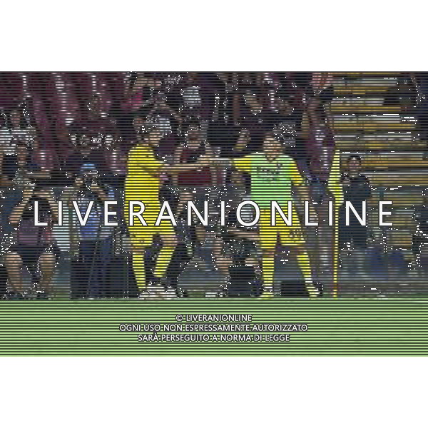 TRIANGOLARE SALERNITANA-REGGINA-ADANA DEMIRSPOR \'TROFEO IERVOLINO\' SALERNO 30.07.2022 NELLA FOTO ESULTANZA DOPOIL GOL DI KRISTOFFERSEN JULIAN ©GARREFFA/AGENZIA ALDO LIVERANI SAS