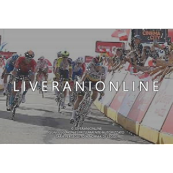 01-08-2022 Tour De Pologne; Tappa 03 Krasnik - Przemysl; 2022, Bora - Hansgrohe; Higuita, Sergio; Przemysl; ©SIROTTI/AGENZIA ALDO LIVERANI SAS