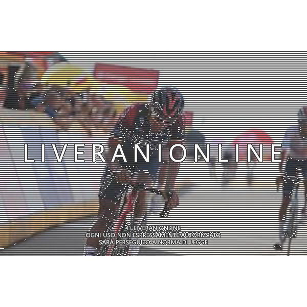 01-08-2022 Tour De Pologne; Tappa 03 Krasnik - Przemysl; 2022, Ineos - Grenadiers; Narvaez, Jhonnatan; Przemysl; ©SIROTTI/AGENZIA ALDO LIVERANI SAS