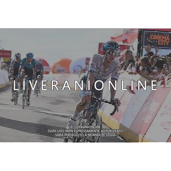 01-08-2022 Tour De Pologne; Tappa 03 Krasnik - Przemysl; 2022, Israel - Premier Tech; Berwick, Sebastian; Przemysl; ©SIROTTI/AGENZIA ALDO LIVERANI SAS