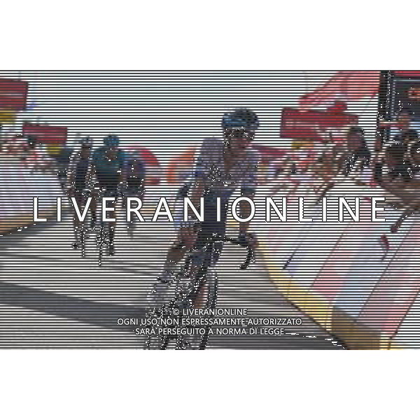01-08-2022 Tour De Pologne; Tappa 03 Krasnik - Przemysl; 2022, Israel - Premier Tech; Berwick, Sebastian; Przemysl; ©SIROTTI/AGENZIA ALDO LIVERANI SAS