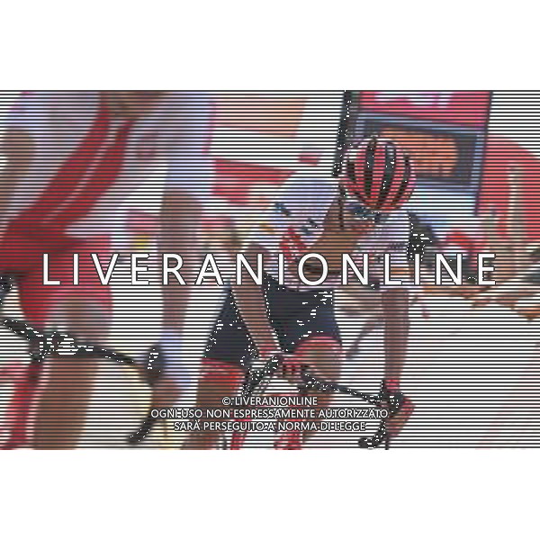 01-08-2022 Tour De Pologne; Tappa 03 Krasnik - Przemysl; 2022, Trek - Segafredo; Tiberi, Antonio; Przemysl; ©SIROTTI/AGENZIA ALDO LIVERANI SAS
