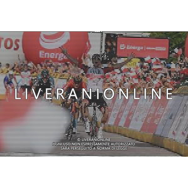 02-08-2022 Tour De Pologne; Tappa 04 Lesko - Sanok; 2022, Uae Emirates; 2022, Bora - Hansgrohe; Ackermann, Pascal; Meeus, Jordi; Milan, Jonathan; Sanok; ©SIROTTI/AGENZIA ALDO LIVERANI SAS