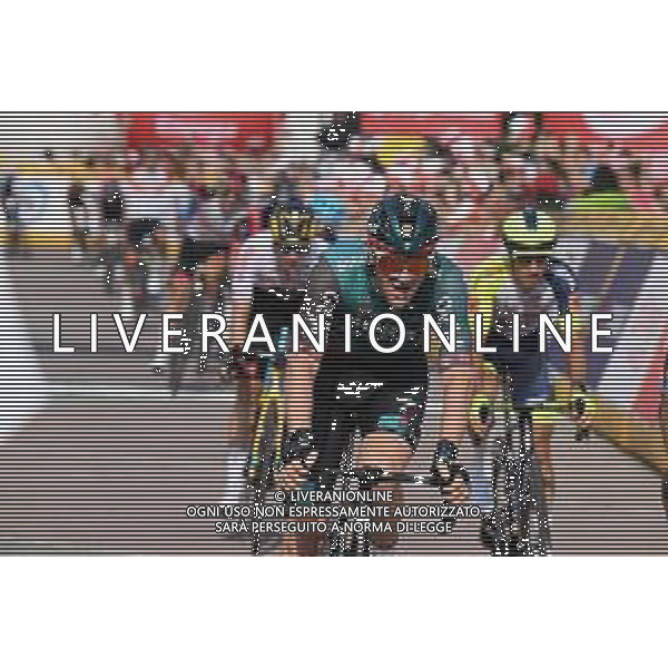 02-08-2022 Tour De Pologne; Tappa 04 Lesko - Sanok; 2022, Bora - Hansgrohe; Meeus, Jordi; Sanok; ©SIROTTI/AGENZIA ALDO LIVERANI SAS
