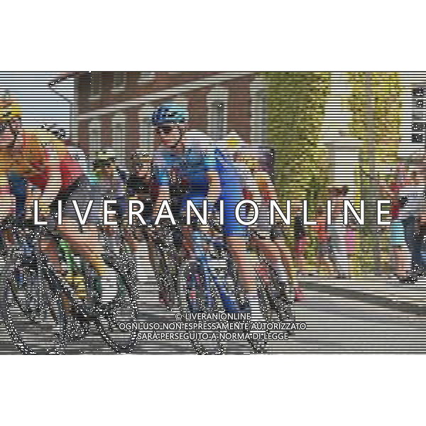 03-08-2022 Tour De Pologne; Tappa 05 Lancut - Rzeszow; 2022, Bikeexchange - Jayco; ©SANNA/AGENZIA ALDO LIVERANI SAS