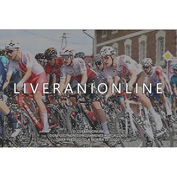 03-08-2022 Tour De Pologne; Tappa 05 Lancut - Rzeszow; 2022, Cofidis; Consonni, Simone; ©SANNA/AGENZIA ALDO LIVERANI SAS