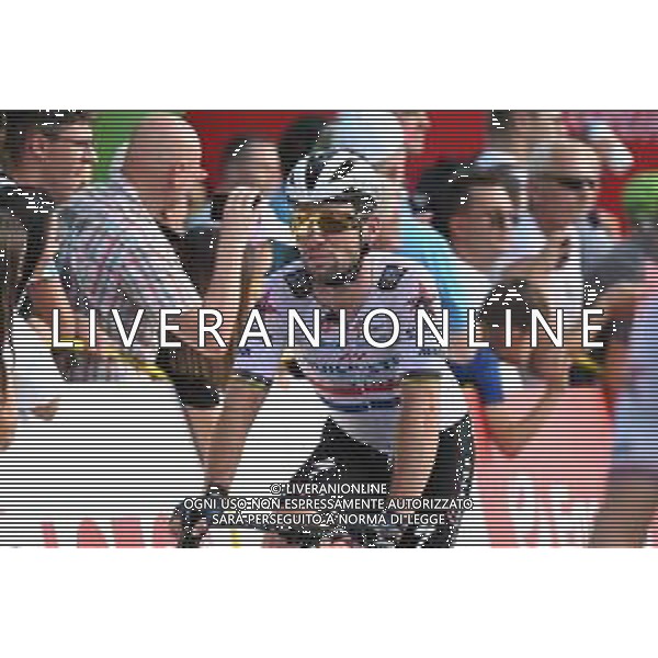 03-08-2022 Tour De Pologne; Tappa 05 Lancut - Rzeszow; 2022, Quick Step - Alpha Vinyl; Cavendish, Mark; Rzeszow; ©SIROTTI/AGENZIA ALDO LIVERANI SAS