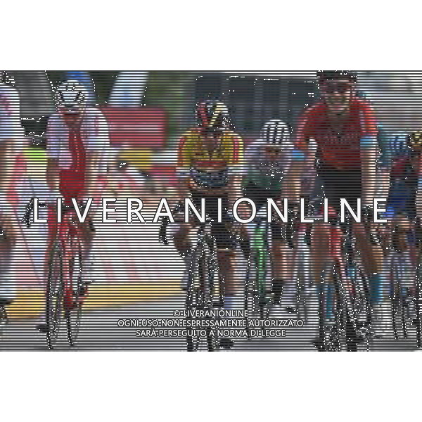 03-08-2022 Tour De Pologne; Tappa 05 Lancut - Rzeszow; 2022, Bora - Hansgrohe; Higuita, Sergio; Rzeszow; ©SIROTTI/AGENZIA ALDO LIVERANI SAS