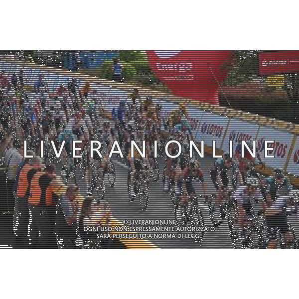 03-08-2022 Tour De Pologne; Tappa 05 Lancut - Rzeszow; 2022, Bora - Hansgrohe; Higuita, Sergio; Rzeszow; ©SIROTTI/AGENZIA ALDO LIVERANI SAS