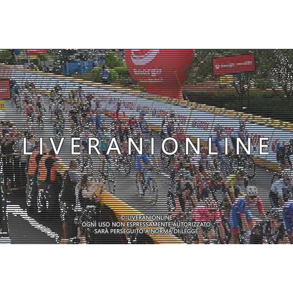 03-08-2022 Tour De Pologne; Tappa 05 Lancut - Rzeszow; Rzeszow; ©SIROTTI/AGENZIA ALDO LIVERANI SAS