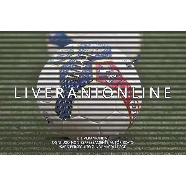 il pallone ufficiale del campionato di Lega Pro Serie C LR Vicenza vs Milan Vicenza 06-08-2022 Stadio Romeo Menti amichevole precampionato foto Roberto Garavaglia/ag. Aldo Liverani sas