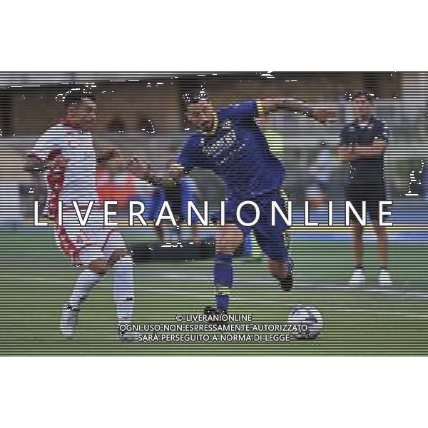 Federico Ceccherini (Hellas Verona) e sulla SX Ruben Alejandro Botta Montero (Bari) Hellas Verona vs Bari Verona 07-08-2022 Stadio Marcantonio Bentegodi Coppa Italia Frecciarossa - 32mi di finale foto Roberto Garavaglia/ag. Aldo Liverani sas /AGENZIA ALDO LIVERANIN SAS