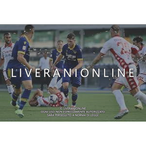 Thomas Henry (Hellas Verona) Hellas Verona vs Bari Verona 07-08-2022 Stadio Marcantonio Bentegodi Coppa Italia Frecciarossa - 32mi di finale foto Roberto Garavaglia/ag. Aldo Liverani sas /AGENZIA ALDO LIVERANIN SAS