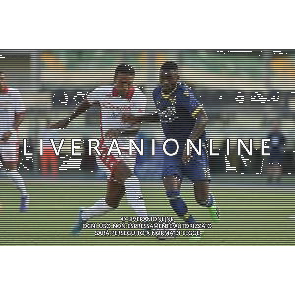 Michael Ijienua Folorunsho (Bari) e Martin Hongla (Hellas Verona) Hellas Verona vs Bari Verona 07-08-2022 Stadio Marcantonio Bentegodi Coppa Italia Frecciarossa - 32mi di finale foto Roberto Garavaglia/ag. Aldo Liverani sas /AGENZIA ALDO LIVERANIN SAS