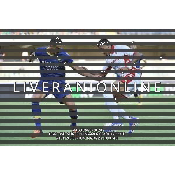 Koray Gunter (Hellas Verona) e Walid Cheddira (Bari) Hellas Verona vs Bari Verona 07-08-2022 Stadio Marcantonio Bentegodi Coppa Italia Frecciarossa - 32mi di finale foto Roberto Garavaglia/ag. Aldo Liverani sas /AGENZIA ALDO LIVERANIN SAS