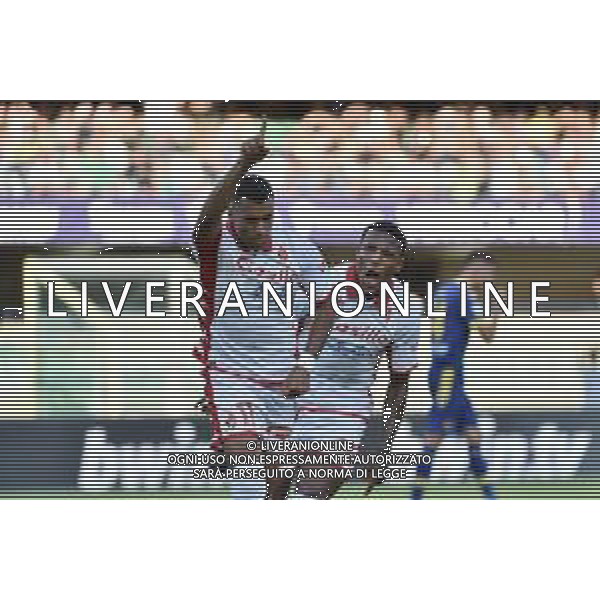 Walid Cheddira (Bari) esulta dopo il gol del 3 a 1 Hellas Verona vs Bari Verona 07-08-2022 Stadio Marcantonio Bentegodi Coppa Italia Frecciarossa - 32mi di finale foto Roberto Garavaglia/ag. Aldo Liverani sas /AGENZIA ALDO LIVERANIN SAS