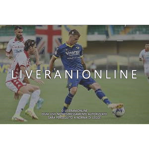 Ivan Ilic (Hellas Verona) Hellas Verona vs Bari Verona 07-08-2022 Stadio Marcantonio Bentegodi Coppa Italia Frecciarossa - 32mi di finale foto Roberto Garavaglia/ag. Aldo Liverani sas /AGENZIA ALDO LIVERANIN SAS