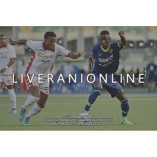 Michael Ijienua Folorunsho (Bari) SX e Martin Hongla (Hellas Verona) DX Hellas Verona vs Bari Verona 07-08-2022 Stadio Marcantonio Bentegodi Coppa Italia Frecciarossa - 32mi di finale foto Roberto Garavaglia/ag. Aldo Liverani sas /AGENZIA ALDO LIVERANIN SAS