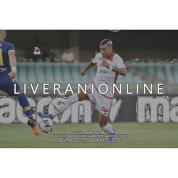 Walid Cheddira (Bari) Hellas Verona vs Bari Verona 07-08-2022 Stadio Marcantonio Bentegodi Coppa Italia Frecciarossa - 32mi di finale foto Roberto Garavaglia/ag. Aldo Liverani sas /AGENZIA ALDO LIVERANIN SAS