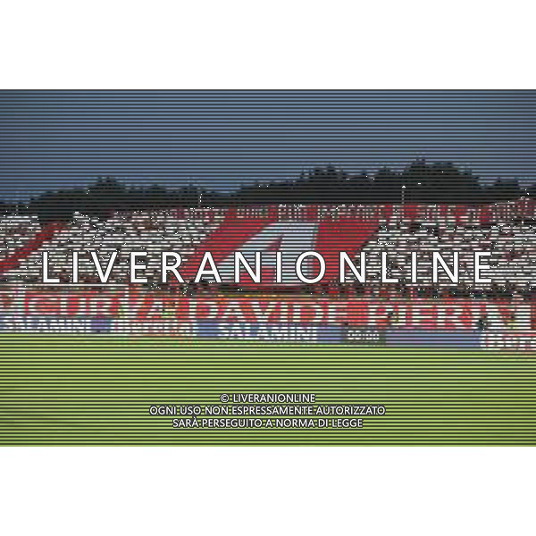 Monza-Torino Campionato di Calcio serie A TIM 2022/2023 1a giornata Monza, 13 Agosto 2022 Nella foto: coreografia nella curva dei tifosi del Monza Ph. Soli - Ag. Aldo Liverani/AGENZIA ALDO LIVERANI SAS   
