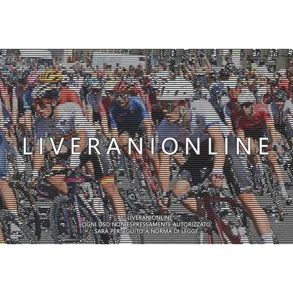14-08-2022 European Championships Elite; 2022, Trek - Segafredo; Baroncini, Filippo; Munich; ©SIROTTI/AGENZIA ALDO LIVERANI SAS   