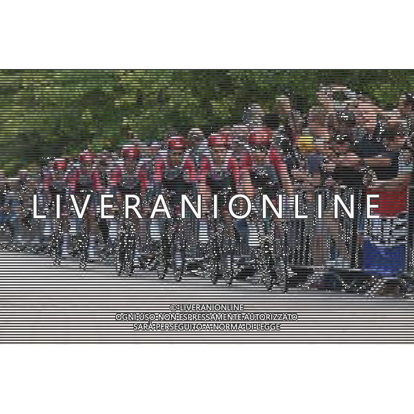 19-08-2022 Vuelta A Espana; Tappa 01 Utrecht - Utrecht; 2022, Uae Emirates; Utrecht; ©SIROTTI/AGENZIA ALDO LIVERANI SAS
