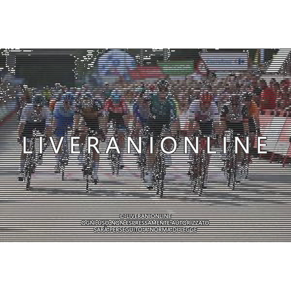 20-08-2022 Vuelta A Espana; Tappa 02 Hertogenbosch - Utrecht; 2022, Bora - Hansgrohe; 2022, Trek - Segafredo; 2022, Alpecin - Deceuninck; Bennett, Sam; Pedersen, Mads; Merlier, Tim; Utrecht; ©SIROTTI/AGENZIA ALDO LIVERANI SAS
