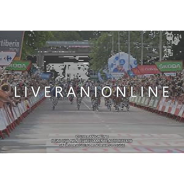 20-08-2022 Vuelta A Espana; Tappa 02 Hertogenbosch - Utrecht; 2022, Bora - Hansgrohe; 2022, Trek - Segafredo; Bennett, Sam; Pedersen, Mads; Utrecht; ©SIROTTI/AGENZIA ALDO LIVERANI SAS