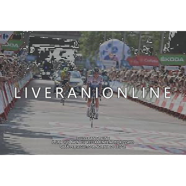 20-08-2022 Vuelta A Espana; Tappa 02 Hertogenbosch - Utrecht; 2022, Israel - Premier Tech; Impey, Daryl; Utrecht; ©SIROTTI/AGENZIA ALDO LIVERANI SAS