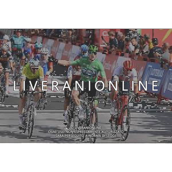 21-08-2022 Vuelta A Espana; Tappa 03 Breda - Breda; 2022, Bora - Hansgrohe; 2022, Arkea - Samsic; 2022, Trek - Segafredo; Bennett, Sam; Mc Lay, Daniel; Pedersen, Mads; Breda; ©SIROTTI/AG ALDO LIVERANI SAS