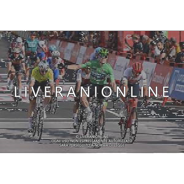21-08-2022 Vuelta A Espana; Tappa 03 Breda - Breda; 2022, Bora - Hansgrohe; 2022, Arkea - Samsic; 2022, Trek - Segafredo; Bennett, Sam; Mc Lay, Daniel; Pedersen, Mads; Breda; ©SIROTTI/AG ALDO LIVERANI SAS