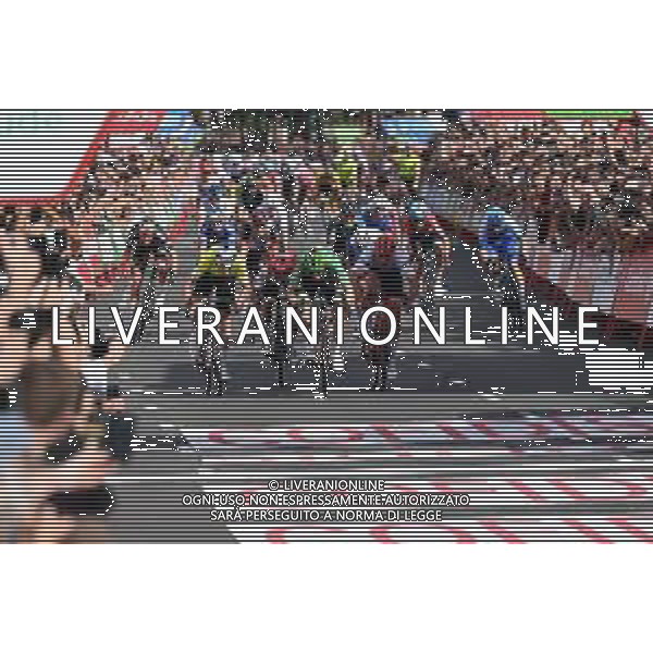 21-08-2022 Vuelta A Espana; Tappa 03 Breda - Breda; 2022, Bora - Hansgrohe; 2022, Arkea - Samsic; 2022, Trek - Segafredo; 2022, Cofidis; Bennett, Sam; Mc Lay, Daniel; Pedersen, Mads; Coquard, Bryan; Breda; ©SIROTTI/AG ALDO LIVERANI SAS