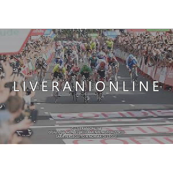 21-08-2022 Vuelta A Espana; Tappa 03 Breda - Breda; 2022, Bora - Hansgrohe; 2022, Arkea - Samsic; 2022, Trek - Segafredo; 2022, Cofidis; Bennett, Sam; Mc Lay, Daniel; Pedersen, Mads; Coquard, Bryan; Breda; ©SIROTTI/AG ALDO LIVERANI SAS