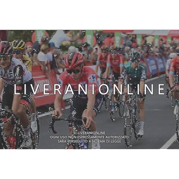 26-08-2022 Vuelta A Espana; Tappa 07 Camargo - Cistierna; 2022, Quick Step - Alpha Vinyl; Evenepoel, Remco; Cistierna; ©SIROTTI /AGENZIA ALDO LIVERANI SAS