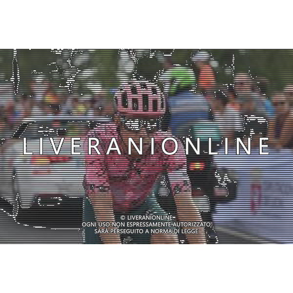 26-08-2022 Vuelta A Espana; Tappa 07 Camargo - Cistierna; 2022, Ef Education - Easypost; Uran, Rigoberto; Cistierna; ©SIROTTI /AGENZIA ALDO LIVERANI SAS