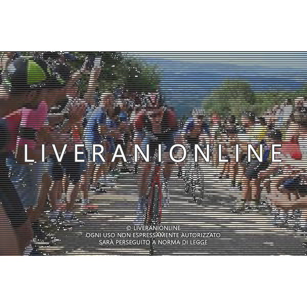 28-08-2022 Vuelta A Espana; Tappa 09 Villaviciosa - Les Praeres; 2022, Ineos - Grenadiers; Geoghegan, Hart Tao; Les Praeres; ©SIROTTI/AGENZIA ALDO LIVERANI SAS